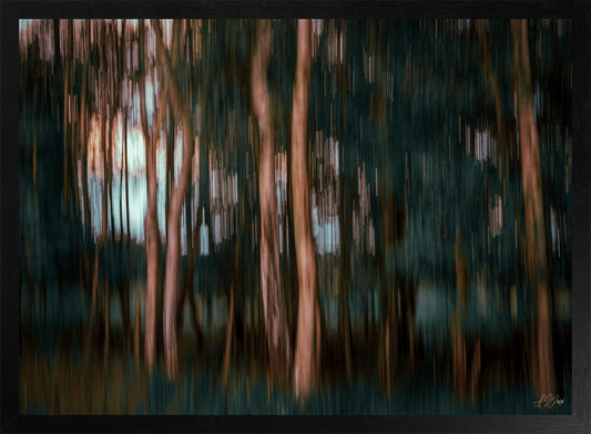 Querformat, frontal , Lichtreflexe, signiert