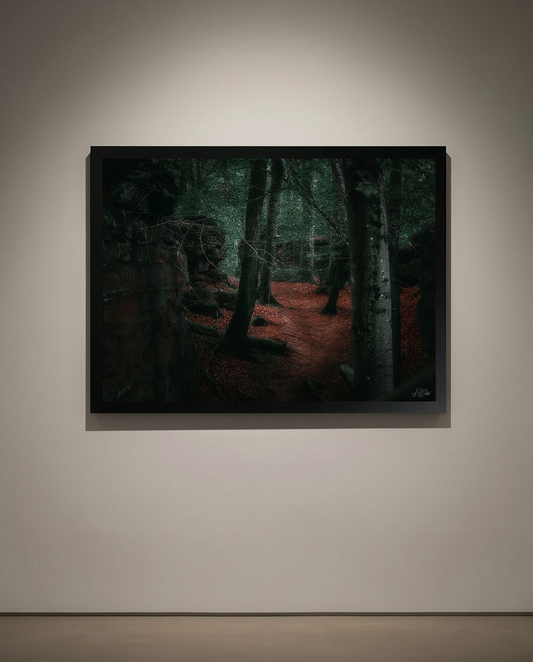 Felsengasse – Gerahmter Kunstdruck an heller Galeriewand, Querformat, atmosphärische Waldszene