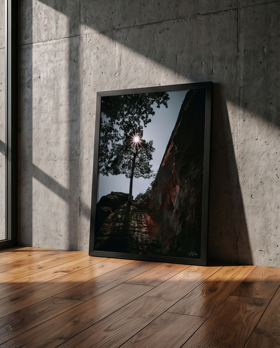 Sonnenstern in Baumkrone – Gerahmter Kunstdruck an Betonwand gelehnt auf Holzboden, Hochformat Größenvergleich 50x70 cm