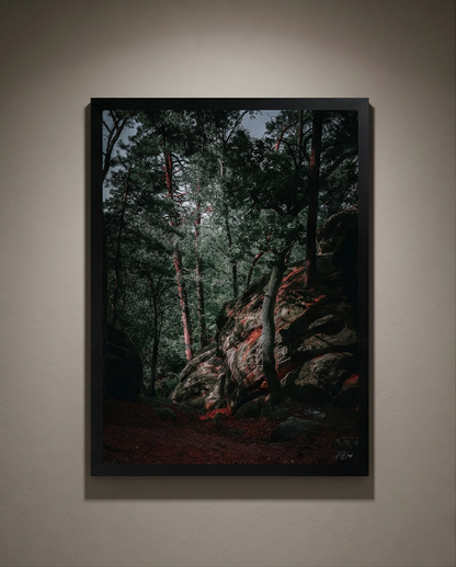 Felseninsel – Gerahmter Kunstdruck an dunkelgrauer Wand mit Spotlight, Hochformat, Sandsteinfelsen im Wald mit Abendhimmel