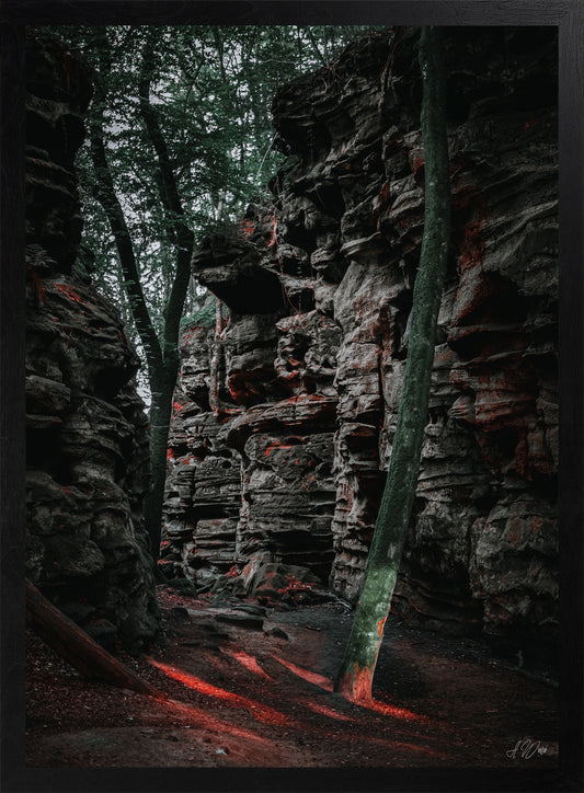 Felsweg – Kunstdruck 50x70 cm im schwarzen Rahmen, mächtige Sandsteinfelsen mit Baumstämmen und roten Lichtreflexen auf Waldboden, signiert von Alex Writsch