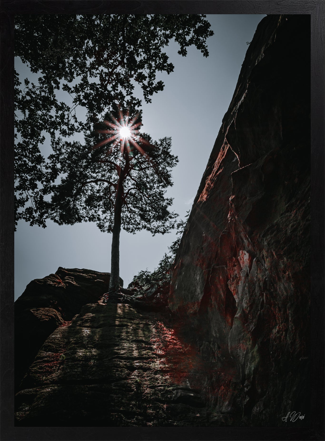 Sonnenstern in Baumkrone – Kunstdruck 50x70 cm im schwarzen Rahmen, schlanke Kiefer zwischen roten Sandsteinfelsen mit Sonnenstern, signiert von Alex Writsch