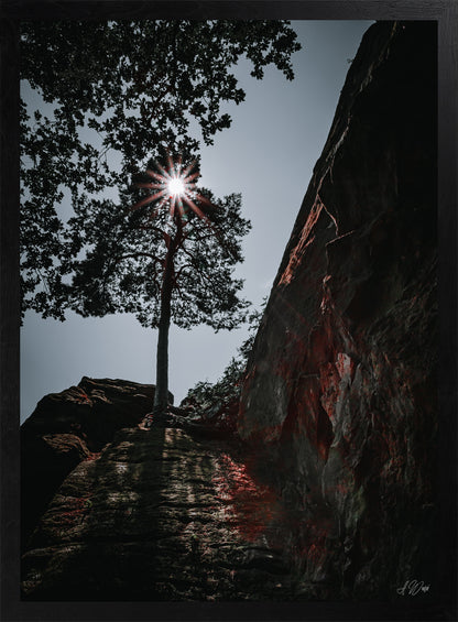 Sonnenstern in Baumkrone – Kunstdruck 50x70 cm im schwarzen Rahmen, schlanke Kiefer zwischen roten Sandsteinfelsen mit Sonnenstern, signiert von Alex Writsch