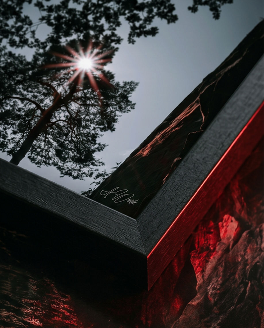Sonnenstern in Baumkrone – Detailaufnahme schwarzer Holzrahmen mit Künstlersignatur von Alex Writsch, Kiefer und Sonnenstern im Hintergrund