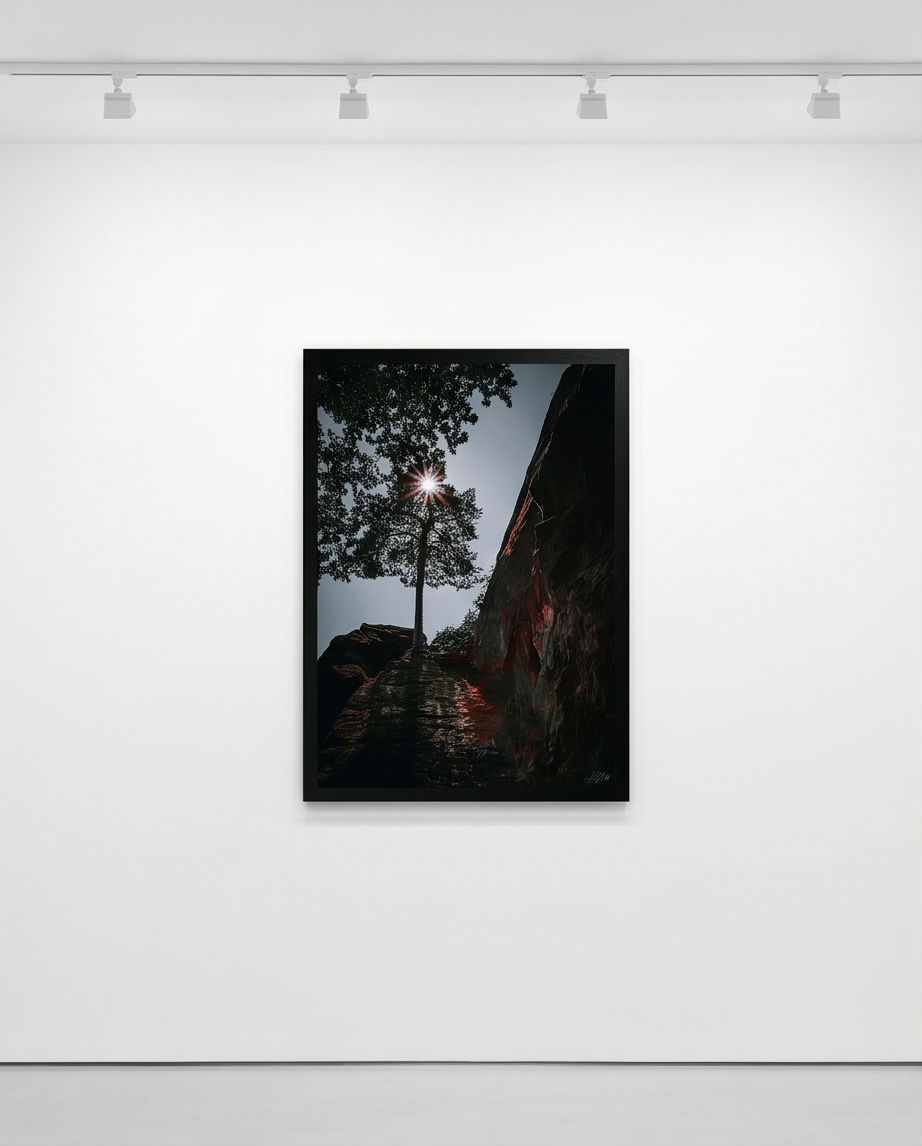 Sonnenstern in Baumkrone – Gerahmter Kunstdruck in weißer Galerie mit Deckenstrahler, Hochformat, Kiefer und Sonnenstern zwischen Felsen