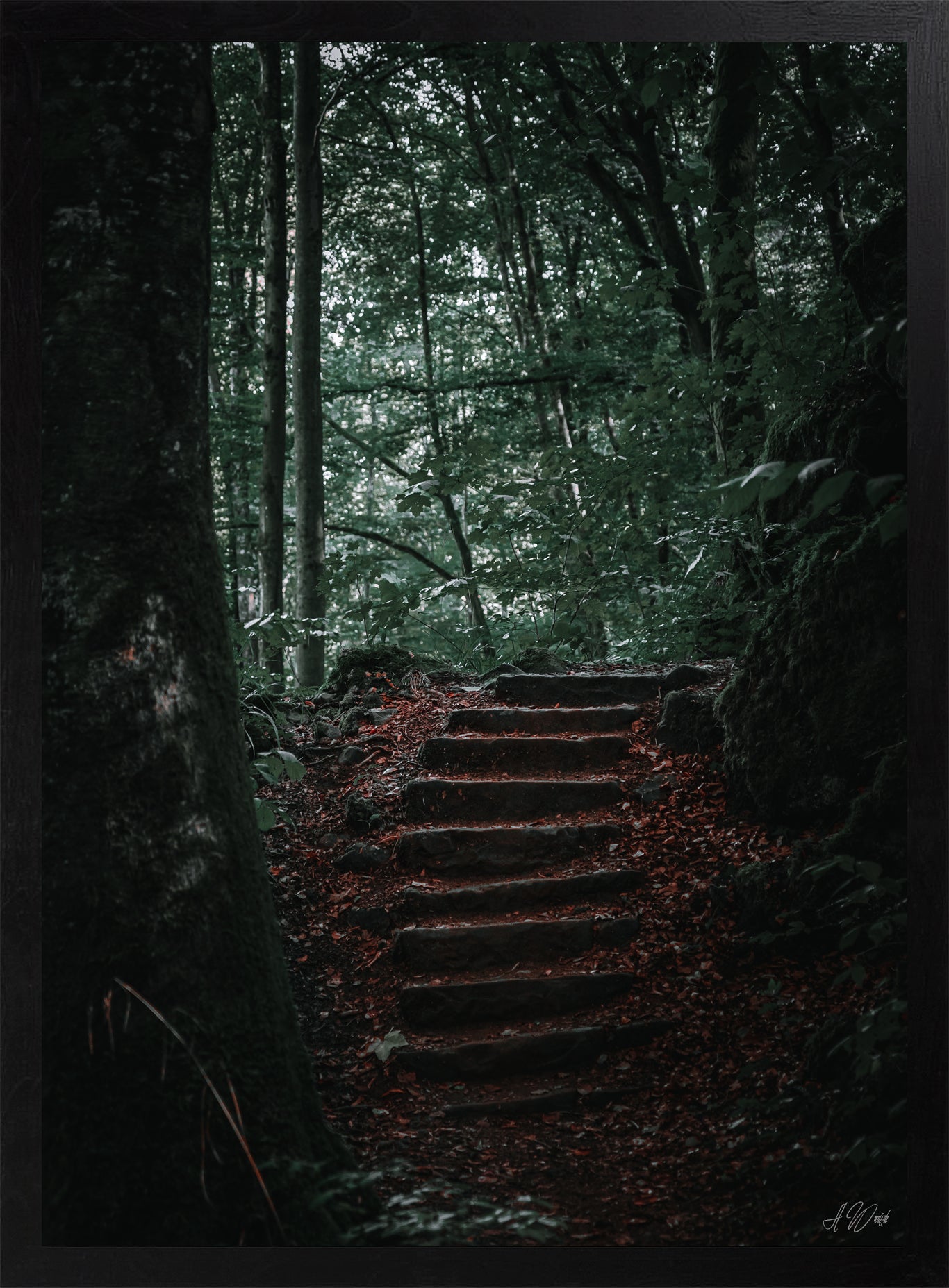 Treppe ins Licht – Kunstdruck 50x70 cm im schwarzen Rahmen, dunkle Steintreppe führt ins helle Waldgrün, signiert von Alex Writsch