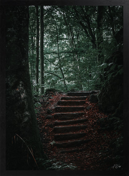 Treppe ins Licht – Kunstdruck 50x70 cm im schwarzen Rahmen, dunkle Steintreppe führt ins helle Waldgrün, signiert von Alex Writsch