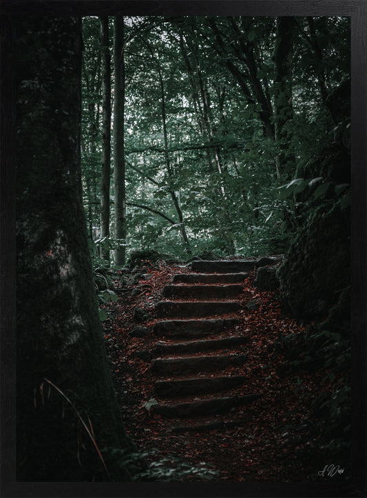 Treppe ins Licht – Kunstdruck 50x70 cm im schwarzen Rahmen, dunkle Steintreppe führt ins helle Waldgrün, signiert von Alex Writsch