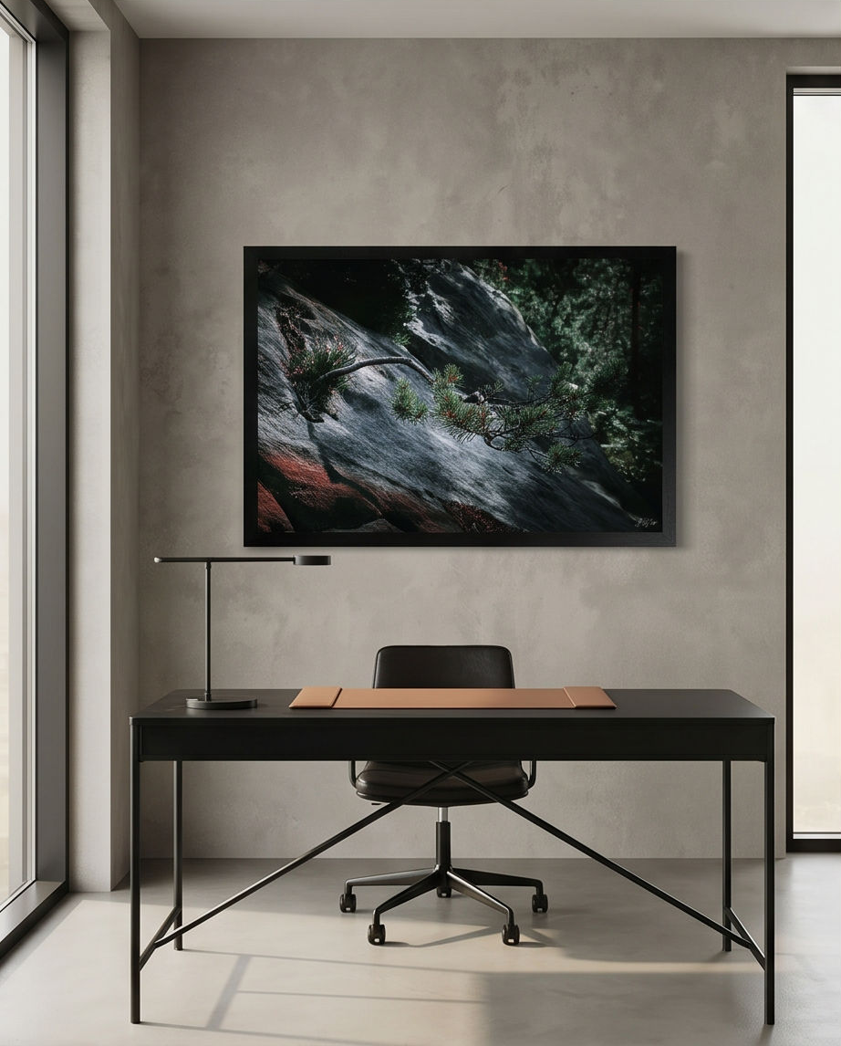 Nadelbaum auf Felsen – Gerahmter Kunstdruck über schwarzem Schreibtisch mit Tischlampe, modernes minimalistisches Arbeitszimmer Lifestyle